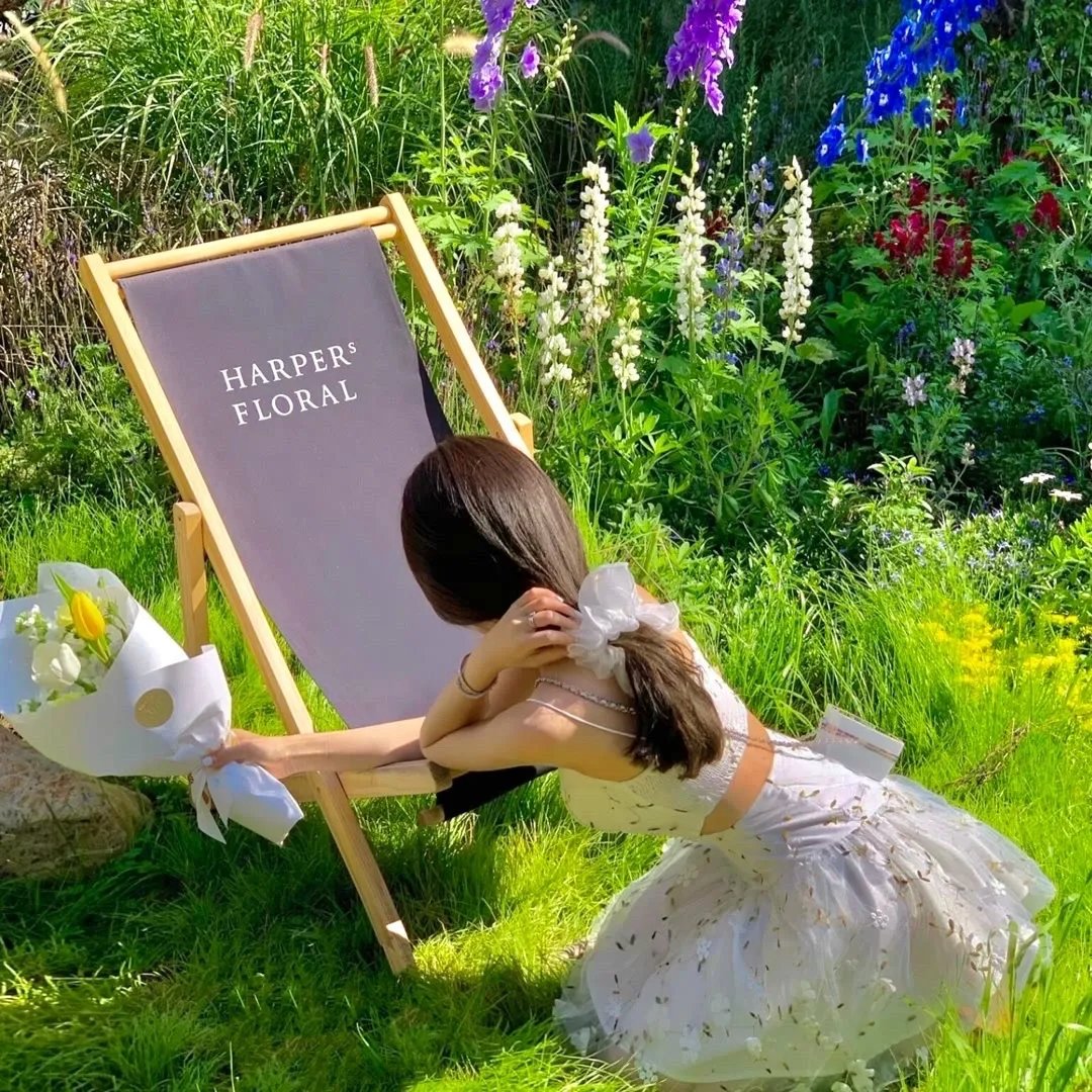 三个哥哥偏偏要宠我